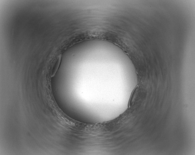 X0000073480817200608140814