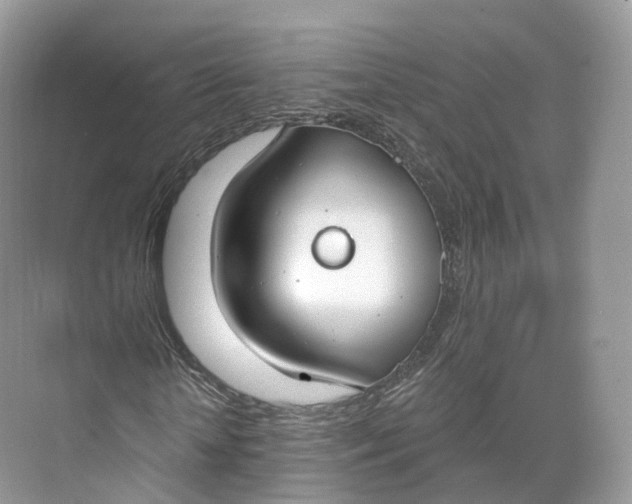 X0000073480818200608140814