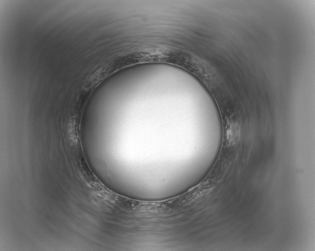 X0000073480819200608140814