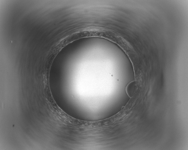 X0000073480821200608140814