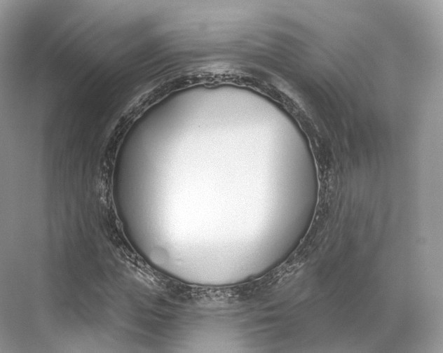 X0000073480823200608140814