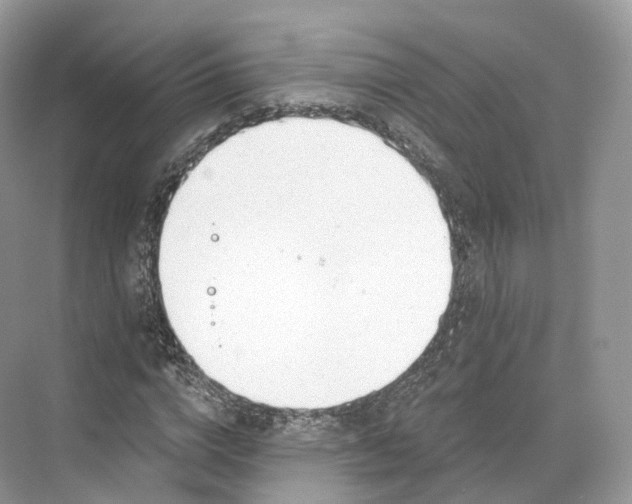 X0000073480824200608140814