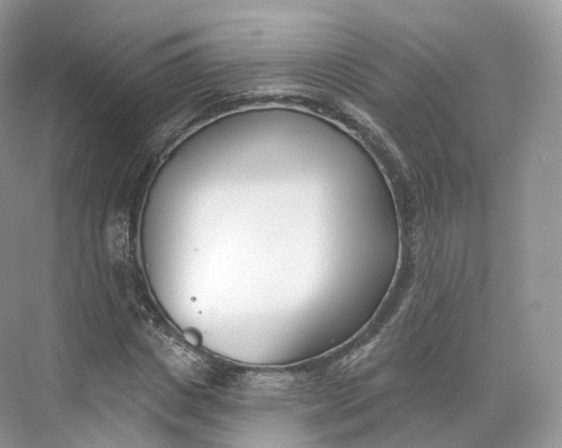 X0000073480825200608140814