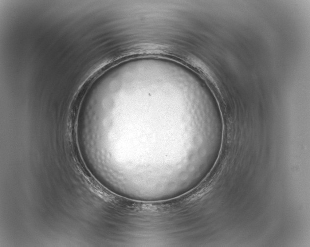 X0000073480827200608140814