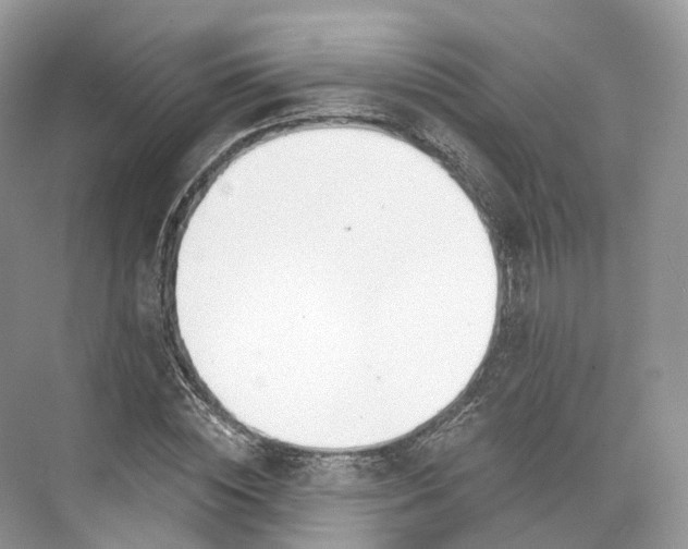 X0000073480828200608140814