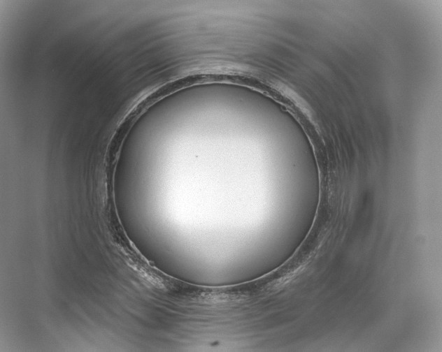 X0000073480829200608140814