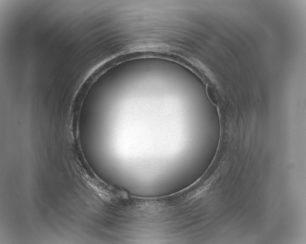 X0000073480830200608140814