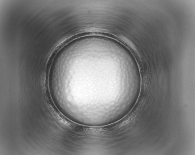 X0000073480831200608140814