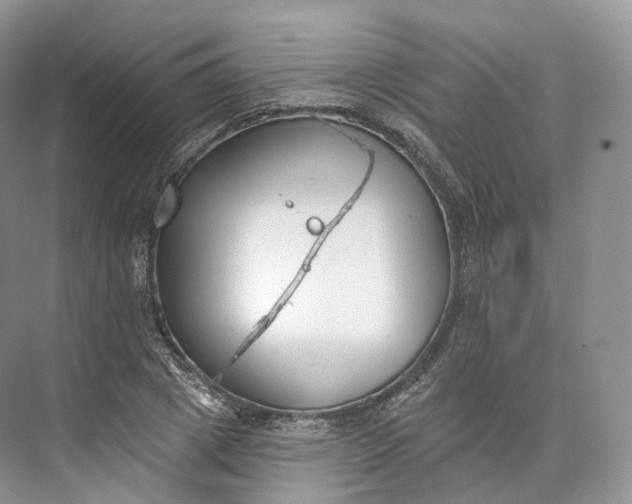 X0000073480833200608140814