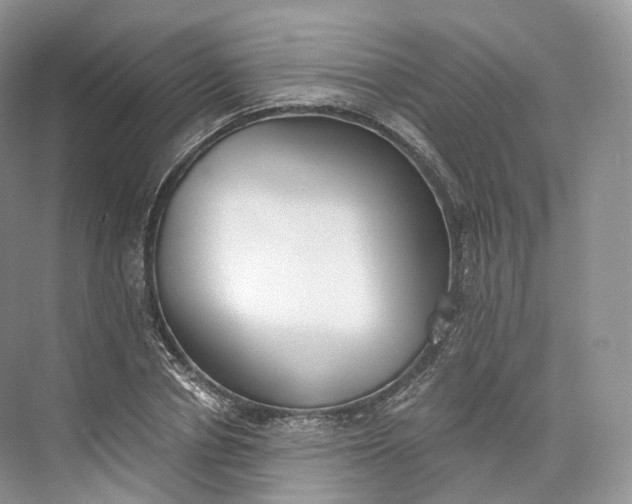 X0000073480834200608140814