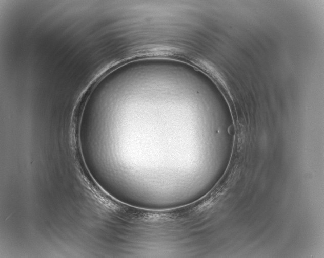 X0000073480835200608140814