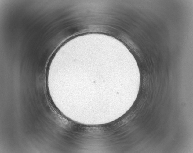 X0000073480836200608140814