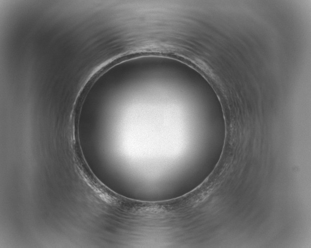 X0000073480838200608140814