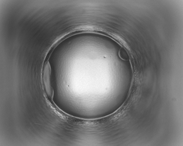 X0000073480839200608140814