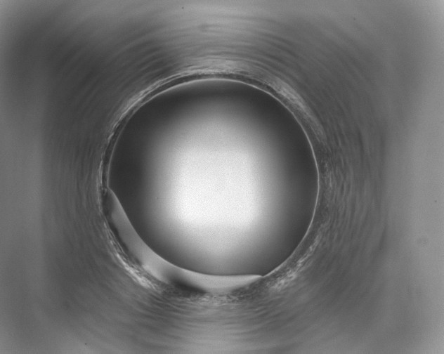 X0000073480842200608140814