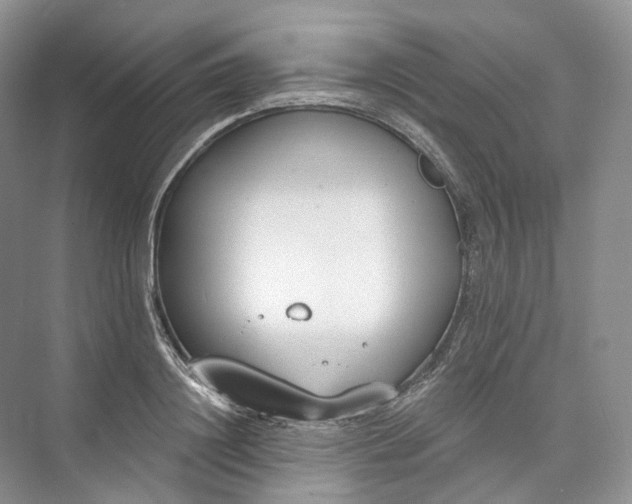 X0000073480844200608140814