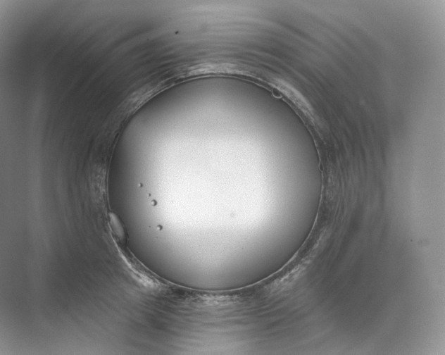 X0000073480849200608140814