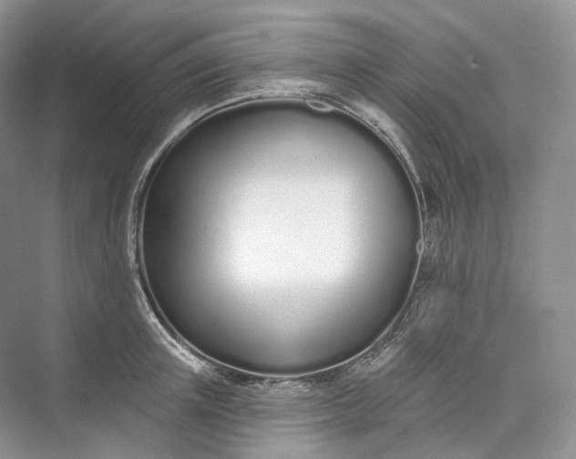 X0000073480851200608140814