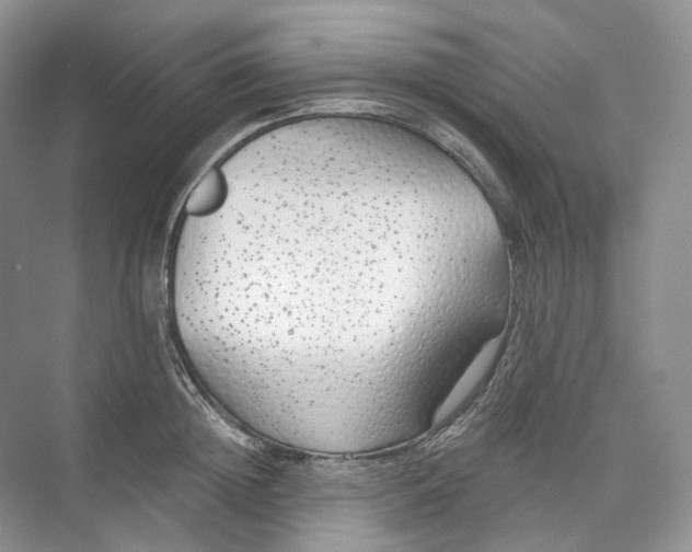 X0000073480852200608140814