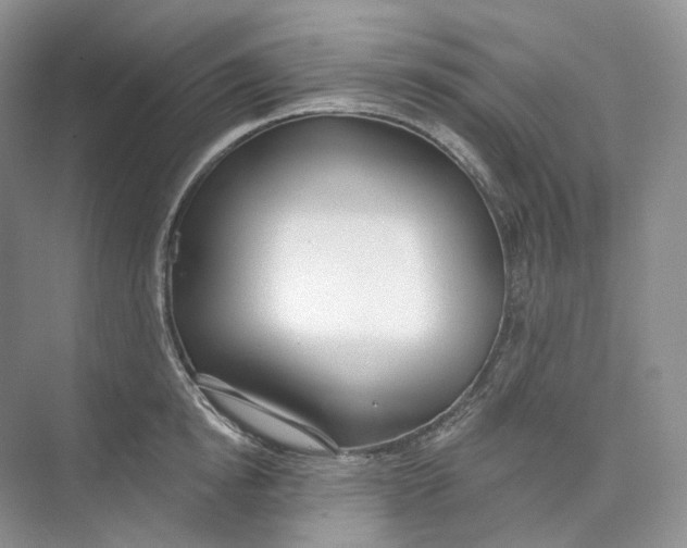 X0000073480854200608140814