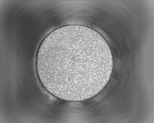 X0000073480856200608140814