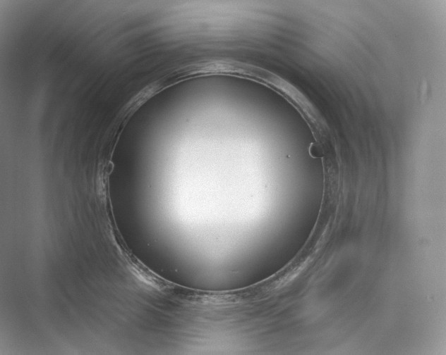 X0000073480857200608140814