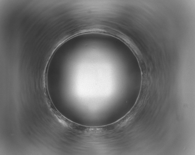 X0000073480858200608140814