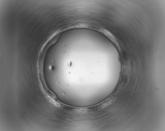 X0000073480859200608140814