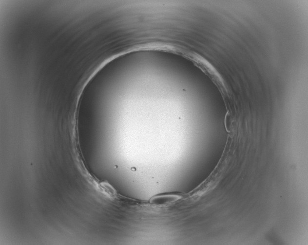 X0000073480860200608140814