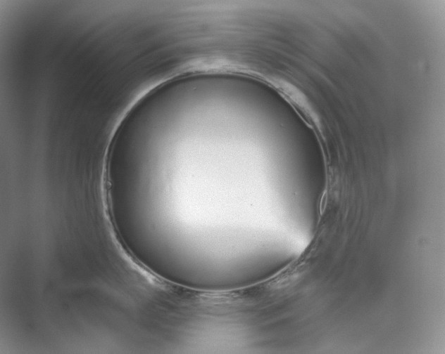 X0000073480863200608140814