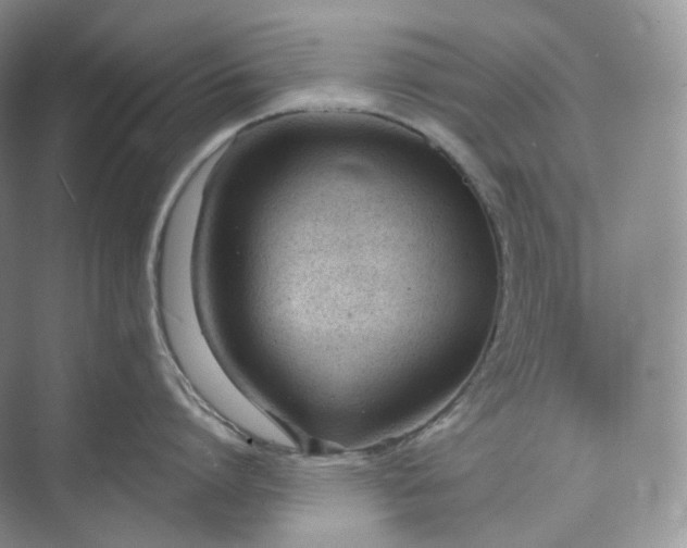 X0000073480864200608140814