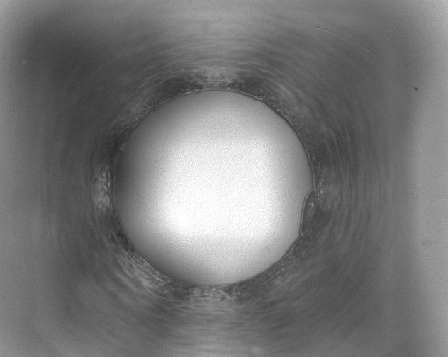 X0000073480866200608140814