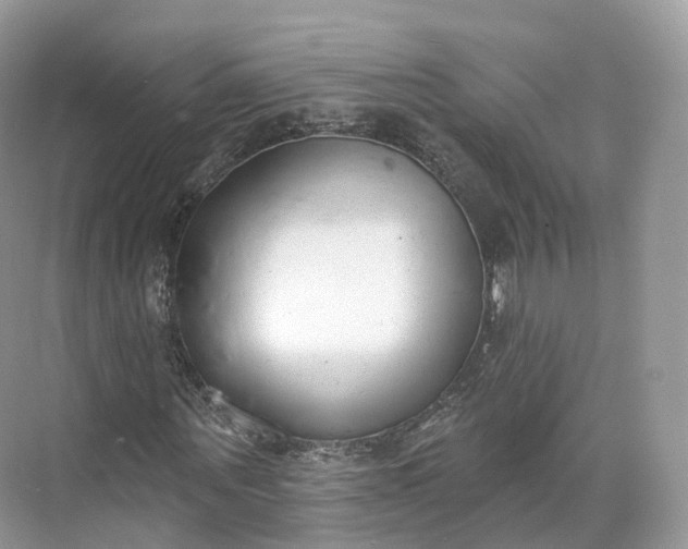 X0000073480867200608140814