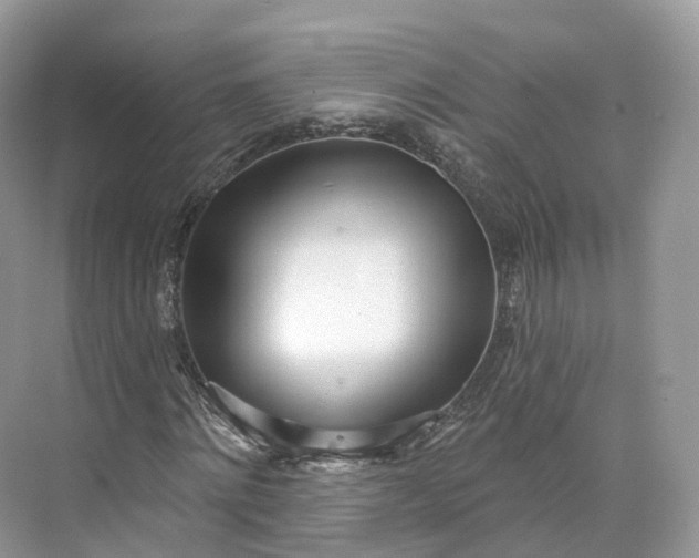 X0000073480868200608140814