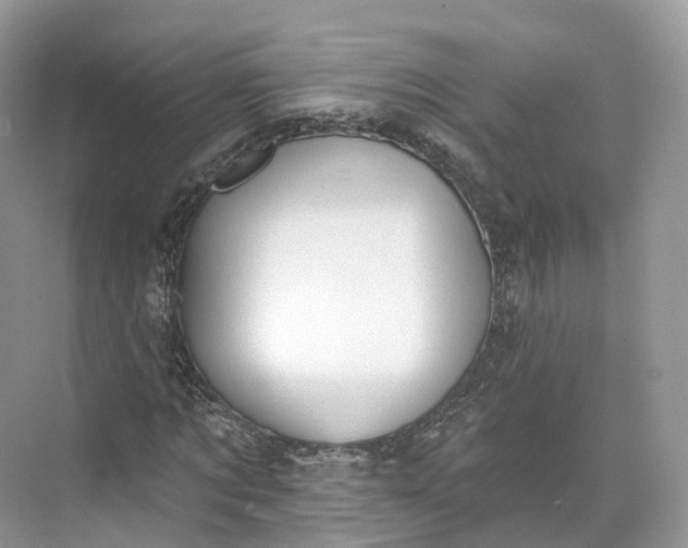 X0000073480869200608140813