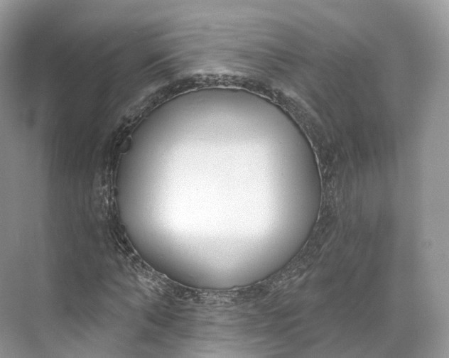 X0000073480870200608140813