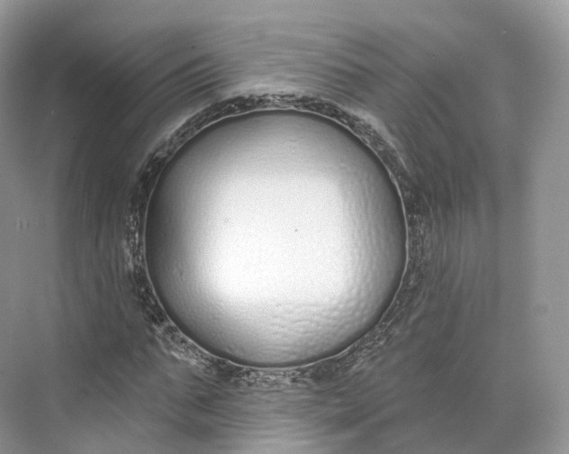 X0000073480871200608140813