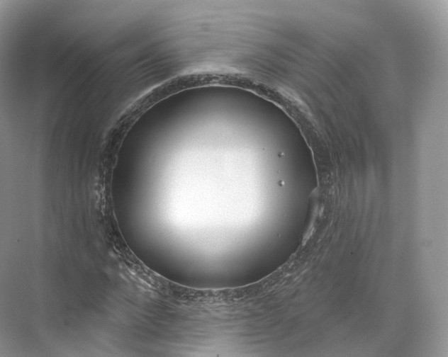 X0000073480872200608140813