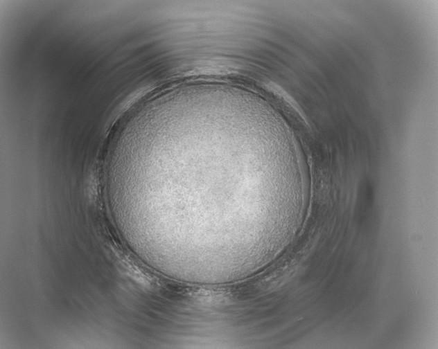 X0000073480874200608140813