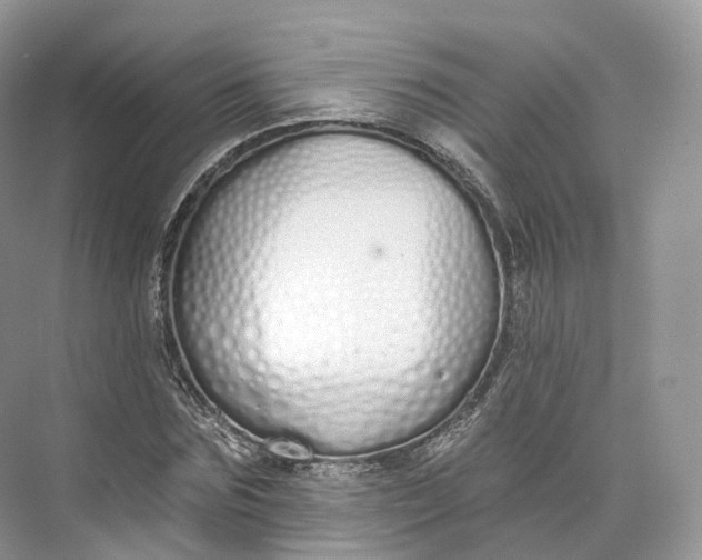 X0000073480875200608140813