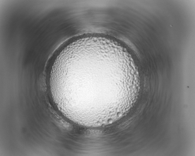 X0000073480878200608140813