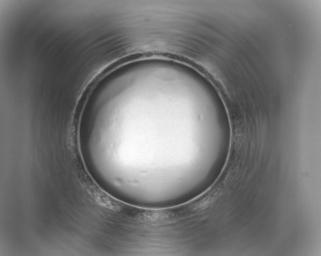 X0000073480879200608140813