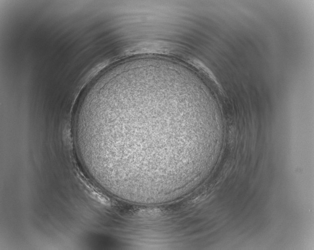 X0000073480882200608140813