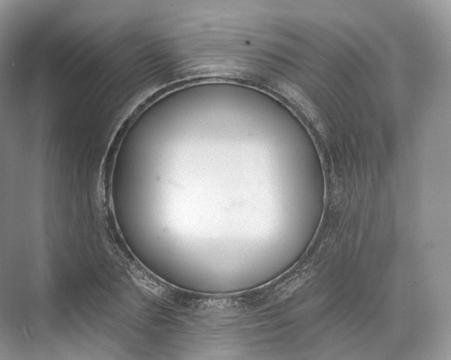 X0000073480883200608140813