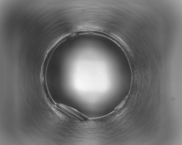 X0000073480885200608140813