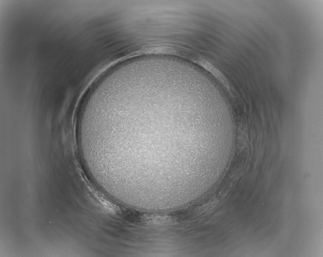 X0000073480886200608140813