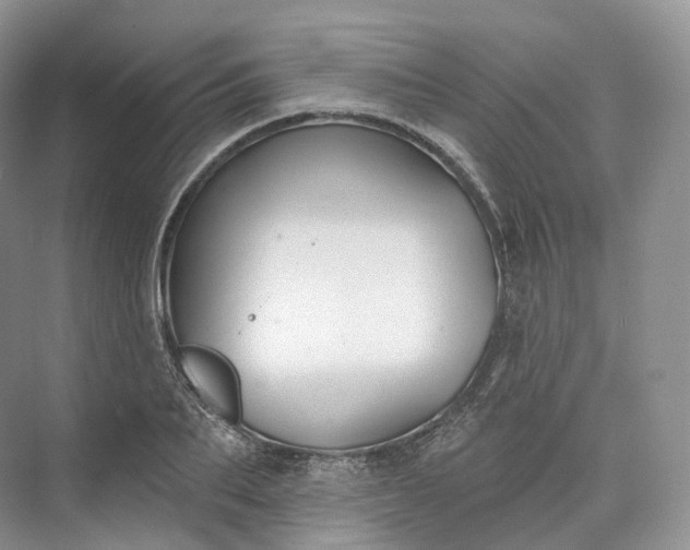 X0000073480887200608140813