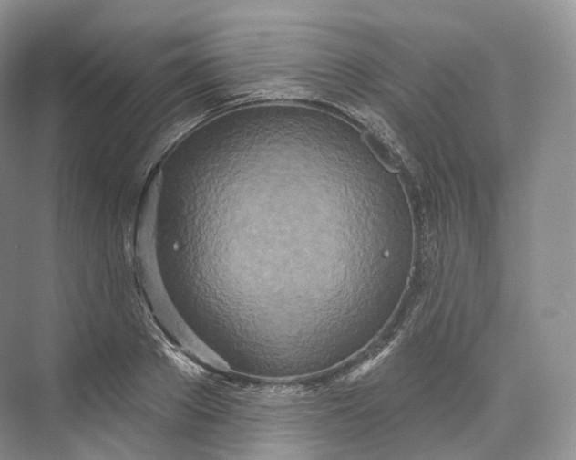 X0000073480889200608140813