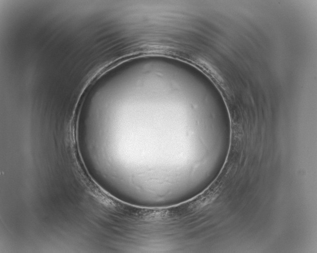 X0000073480891200608140813