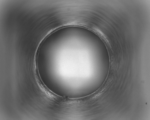 X0000073480892200608140813